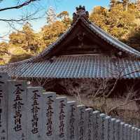 ⛰️ Mount Misen Summer Survival Guide