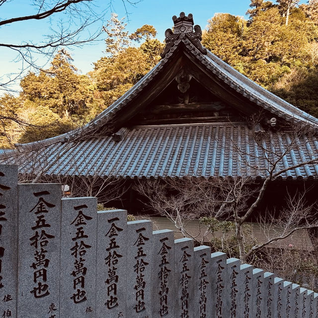 ⛰️ Mount Misen Summer Survival Guide