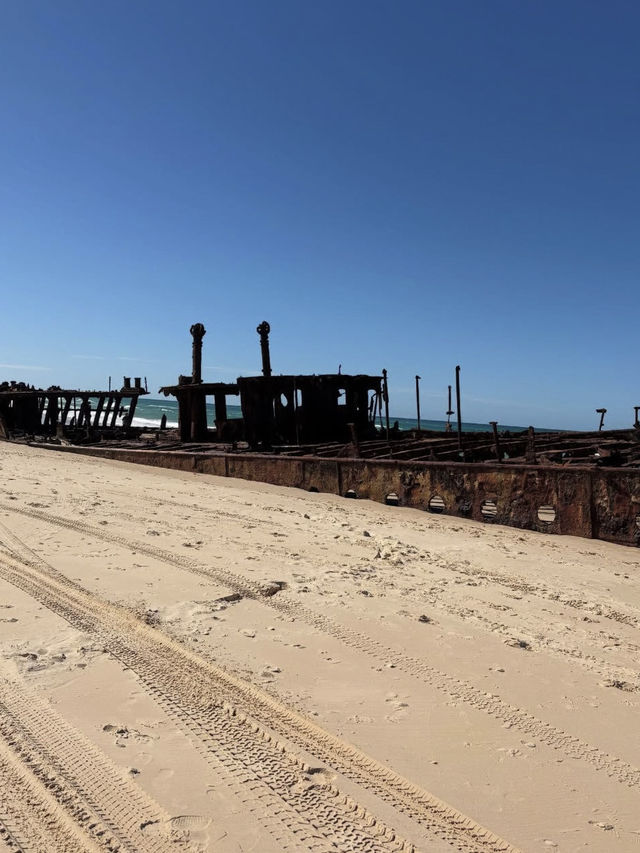 🚙【砂の島で冒険と癒し】フレーザー島（K'gari）で自然と遊ぶ旅