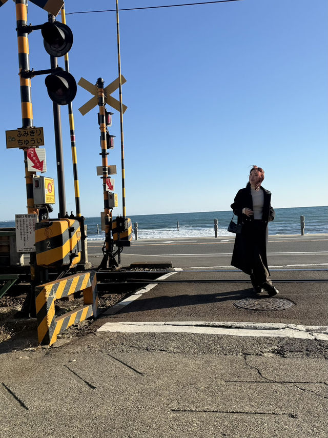 Kamakura Day Trip Guide: Temples, Trains, and Seaside Chill