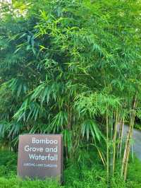The secret waterfall inside Bamboo grove