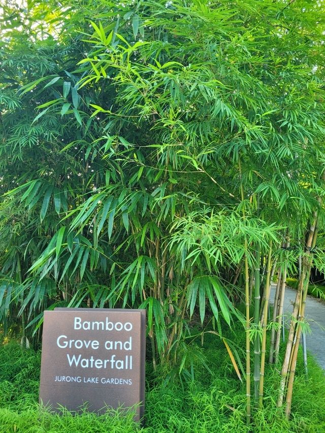The secret waterfall inside Bamboo grove