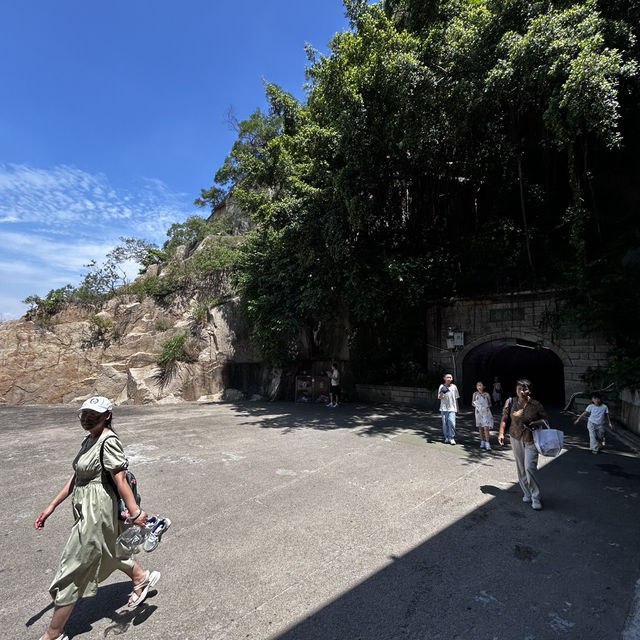 🕳️ Gusheng Cave: Gulangyu’s Cool, Carved Secret Beneath Sunlight Rock!