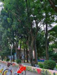 🌳桃園內壢人的秘密綠洲！自強公園散步放空好去處，綠意包圍的城市小森林