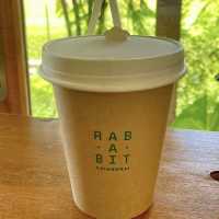  Rab-a-bit.cnx