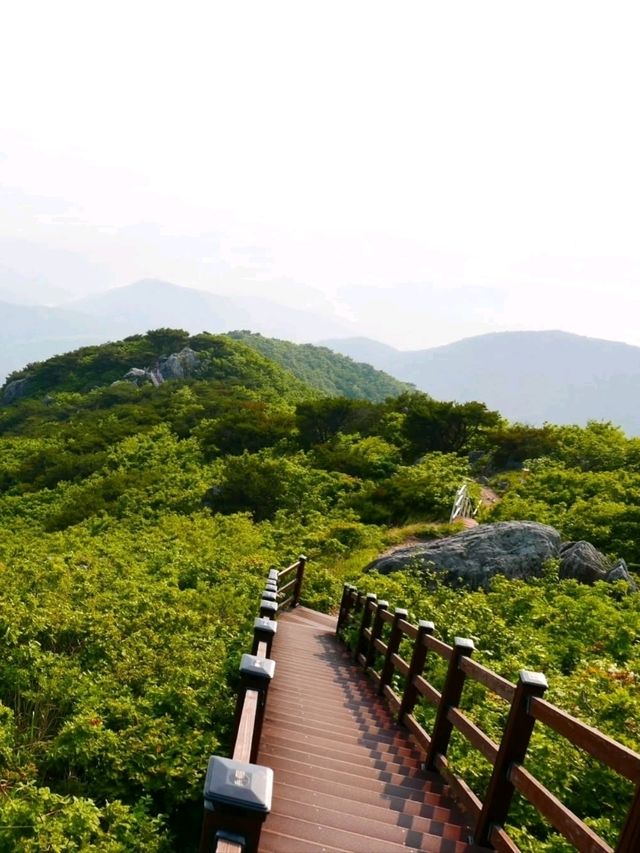 Accidentally Climbed a Mountain, Had the Time of My Life