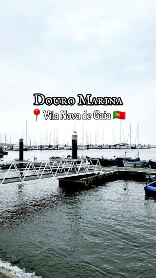 🇵🇹 Douro Marina: Where the River Meets the Atlantic
