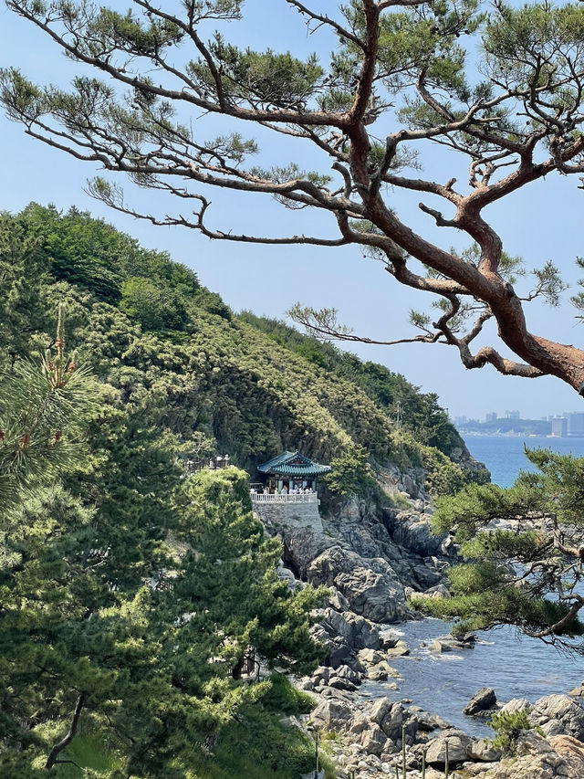 부산>강릉-양양 취향껏 다녀온 1박 2일 속성코스
