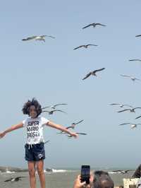 🌊風の港町・エッサウィラで過ごす、ゆるりとしたモロッコ時間🇲🇦🎨