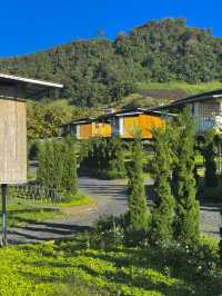หลงผา โฮมสเตย์ เชียงใหม่ 🏡🍃
