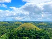 Sweet Views at Chocolate Hills