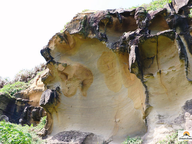 Heping Island Park