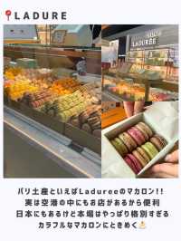 フランスひとり旅行ってよかった場所まとめ🇫🇷