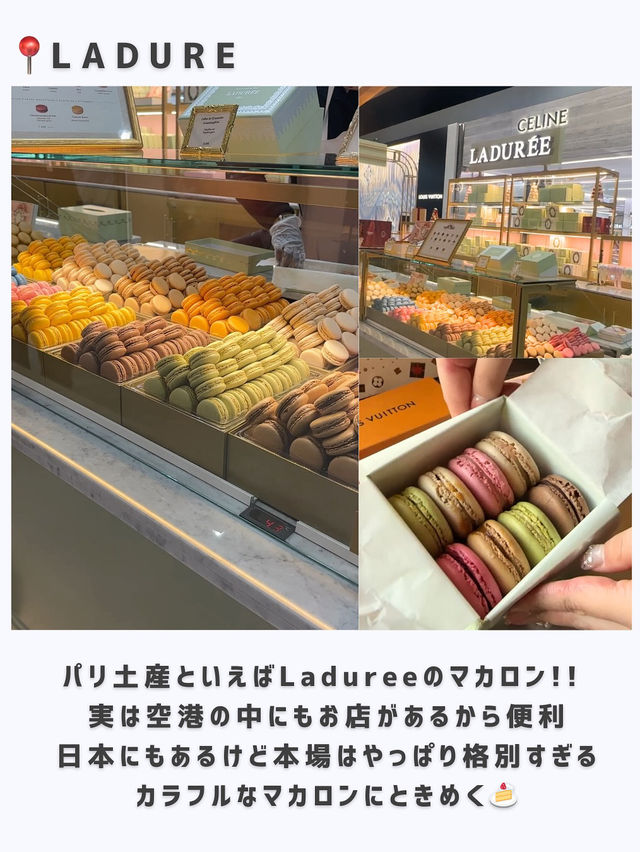 フランスひとり旅行ってよかった場所まとめ🇫🇷
