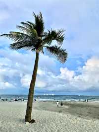 파도 위 여유🌊 다낭 My Khe Beach 