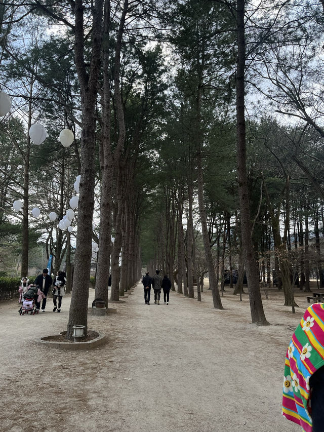 🌿 Nami Island ~ Where Nature Feels Like a Poem 🍂