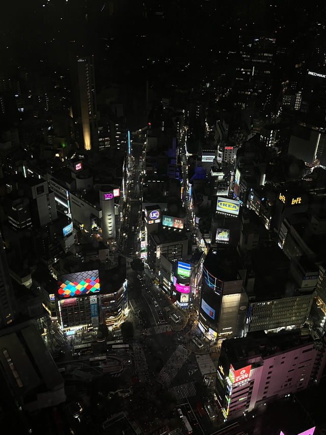 🌆 Tokyo in 3 Iconic Stops: Skyline, Loyalty & Organized Chaos 🐶✨