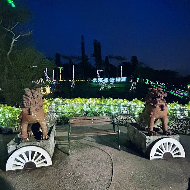 【️沖縄】 美らヤシパークオキナワ 東南植物楽園🌴