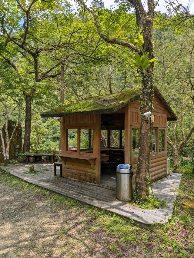 新北「坪林 天山親水農場」玩水烤肉趣！炎炎夏日的渡假勝地