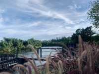  🌧️กาญจนบุรีหน้าฝน @The Tryst River Kwai🌿