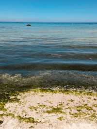 The Ultimate Family-Friendly Beach Experience