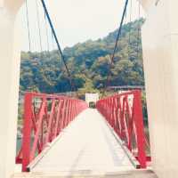Gifu’s Hidden Summer Escape: Mino Bridge & the Enchanting Nagara River