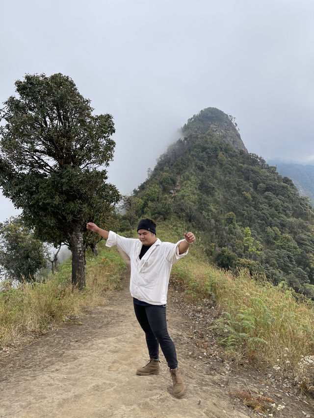 HIDDEN GEM: ผาสองฤดู เชียงใหม่
