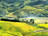 Layers of Peace – A Day in Lao Chai, Vietnam