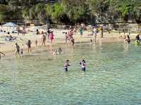 Clovelly Beach - 海泳、戲水 & 浮潛天堂