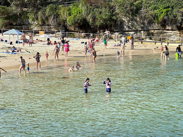Clovelly Beach - 海泳、戲水 & 浮潛天堂