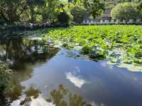 普濟寺：見證普陀山主剎的歷史軌跡與精神象徵