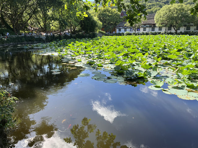 普濟寺：見證普陀山主剎的歷史軌跡與精神象徵