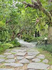  The For Rest Cafe คาเฟ่ธรรมชาติที่หนองคาย 🍃