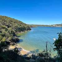 Spit Bridge to Manly Walk – Sydney