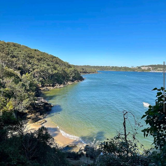 Spit Bridge to Manly Walk – Sydney