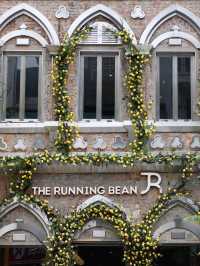 The Running Bean