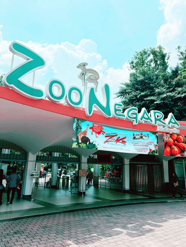 “Zoo Negara Malaysia: The Perfect Summer Adventure for Kids” 