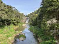 紐西蘭旅遊景點—💦 Hunua Falls｜奧克蘭後山的森林瀑布美景