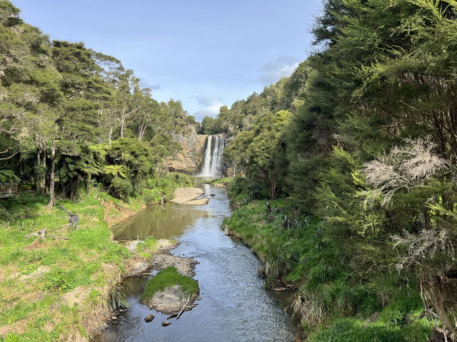 紐西蘭旅遊景點—💦 Hunua Falls｜奧克蘭後山的森林瀑布美景