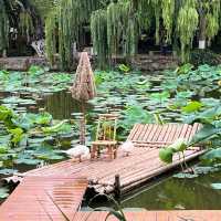 🌿 A Peaceful Escape in Kunming: Green Lake Park (翠湖) 🌿
