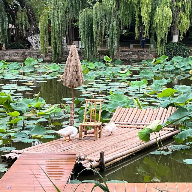 🌿 A Peaceful Escape in Kunming: Green Lake Park (翠湖) 🌿