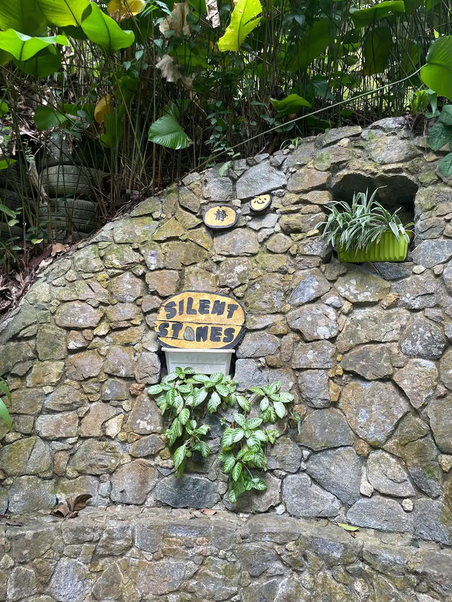 Spice Trails: A Journey Through Penang’s Botanical Wonderland