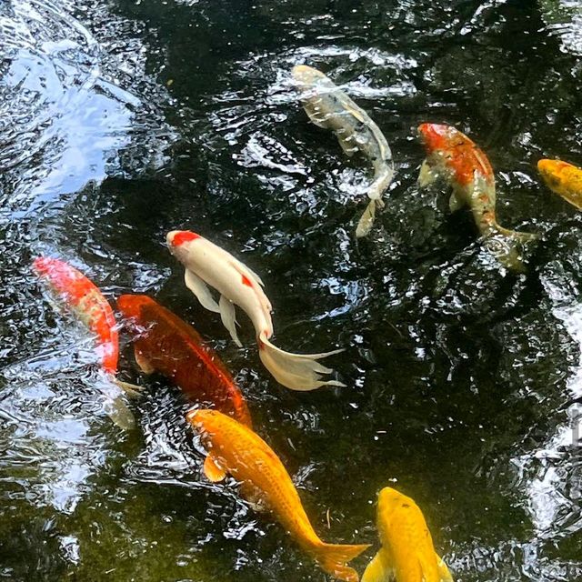 Fort Worth Botanic Garden