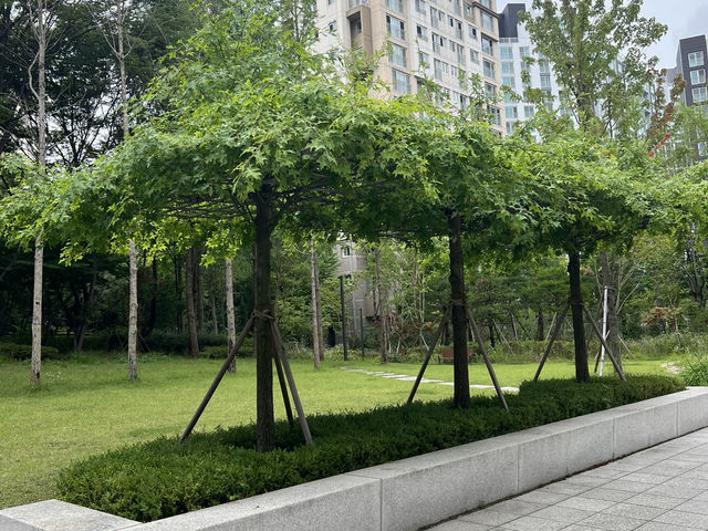 도서관 옆 휴식공간