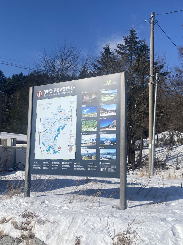 Daegwallyeong คังวอนโดเกาหลี 🇰🇷❄️