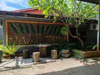 Exploring Gano Farm: A Wonderful World of Mushrooms