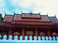 ตักบาตรข้าวเหนียวที่หลวงพระบาง🇱🇦