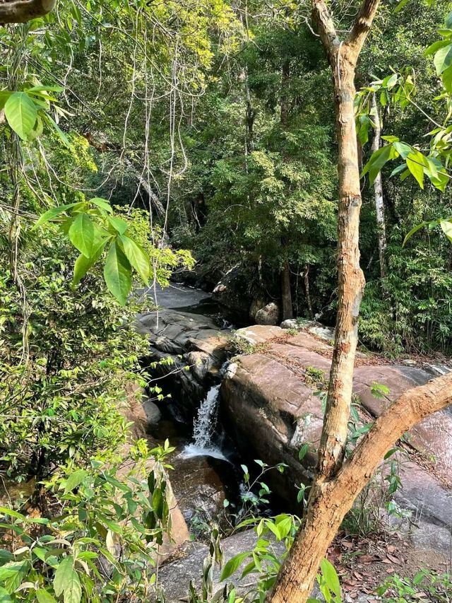 Jungle Hike at Khao Chamao Waterfall 
