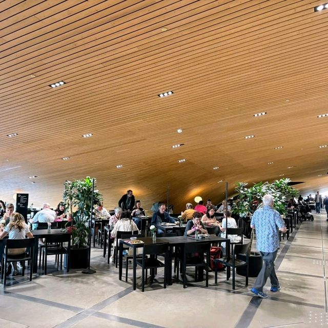 芬蘭 | 赫爾辛基頌歌中央圖書館，芬蘭百年建國的生日禮物