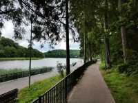 Seaside Chill and Forest Vibes in Svetlogorsk